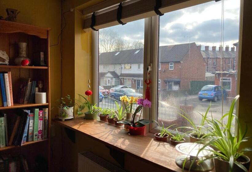 غرفة عائلية مطلّة علي الجبل, Jacks Court B5