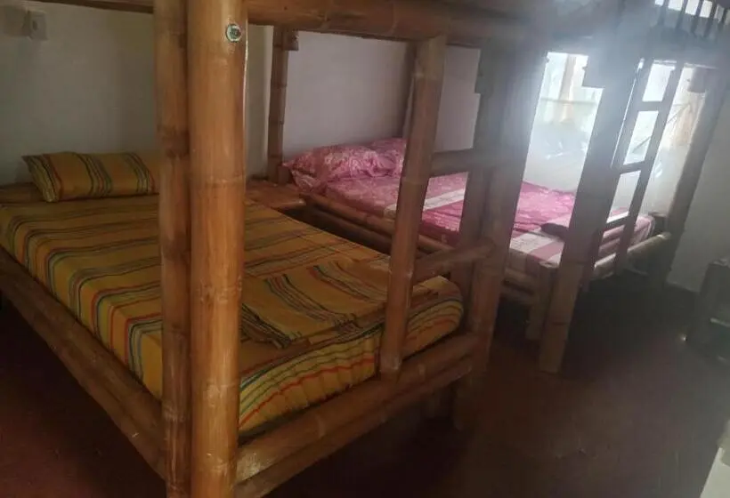 スタンダード４人部屋, Los Cocos Hostal