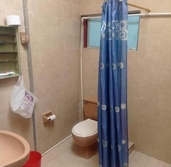 스탠다드 트리플 룸, Los Cocos Hostal