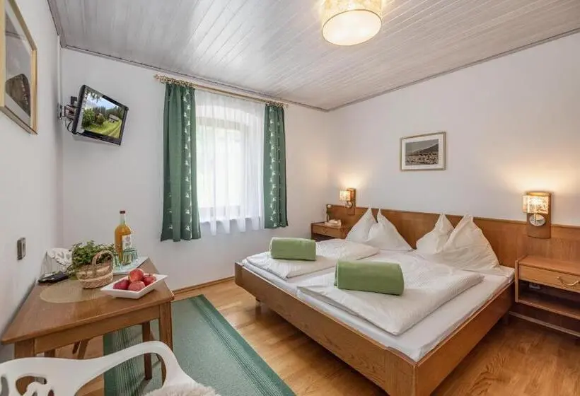 スタンダードシングルルーム, Gasthof Pension Sandwirt