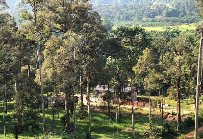 디럭스 트리플 룸, Mydusun Chalet, Taiping, Perak, Malaysia