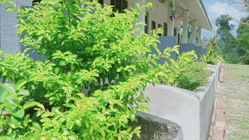 스탠다드 룸, Belebar Homestay Taman Negara Pahang Malaysia