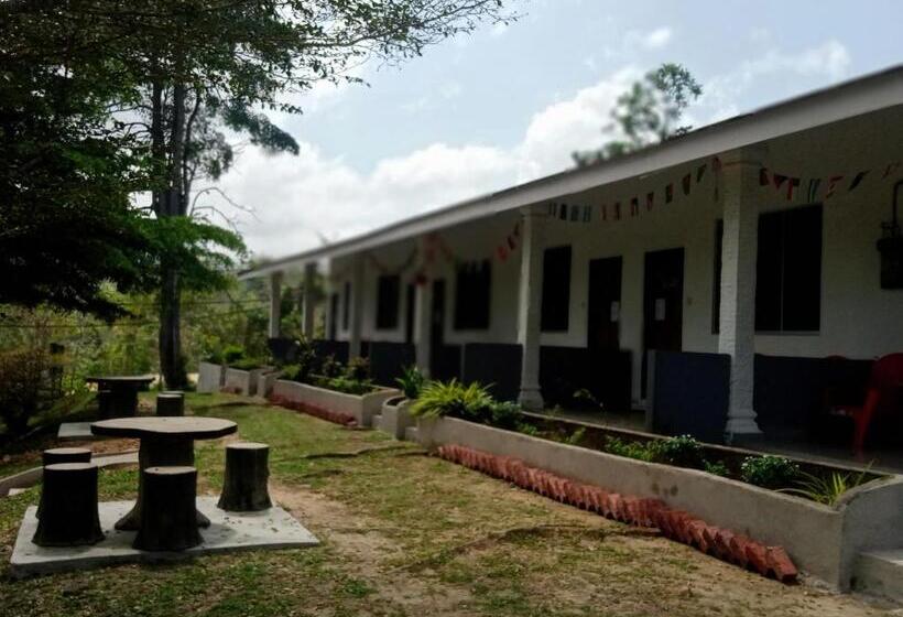 스탠다드 룸, Belebar Homestay Taman Negara Pahang Malaysia