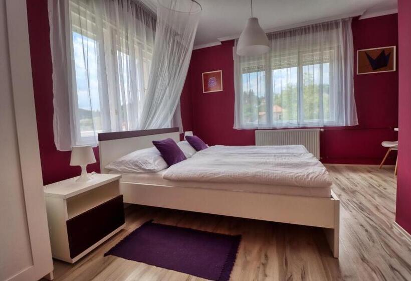 חדר סטנדרט, Vincze Villa Vendégház