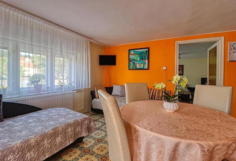 Апартаменты 1 Спальня Нижний Этаж, Vincze Villa Vendégház