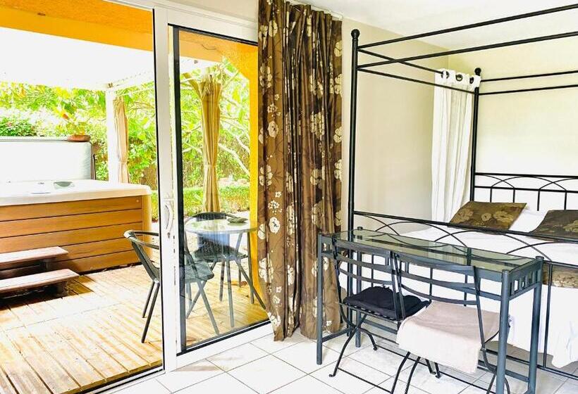 غرفة قياسية مزوَّدة بجاكوزي, Maison D Hôtes Lagatine