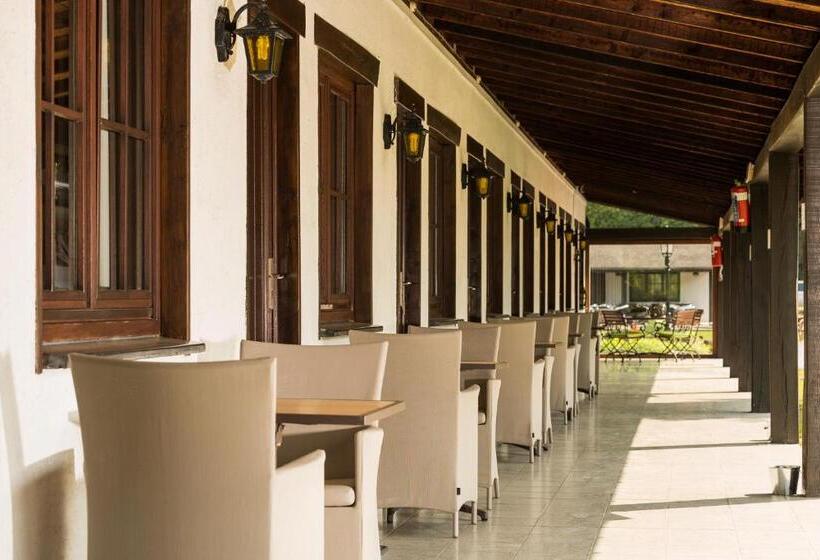 带大床的高级房间, Hostellerie D Inzepré