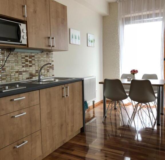 آپارتمان 1 خوابه با چشمانداز باغ, Evička Penzion