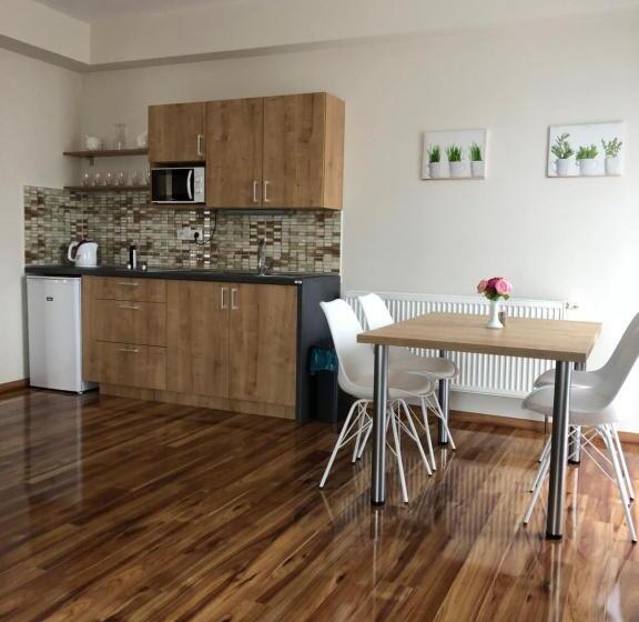 آپارتمان 1 خوابه با چشمانداز باغ, Evička Penzion