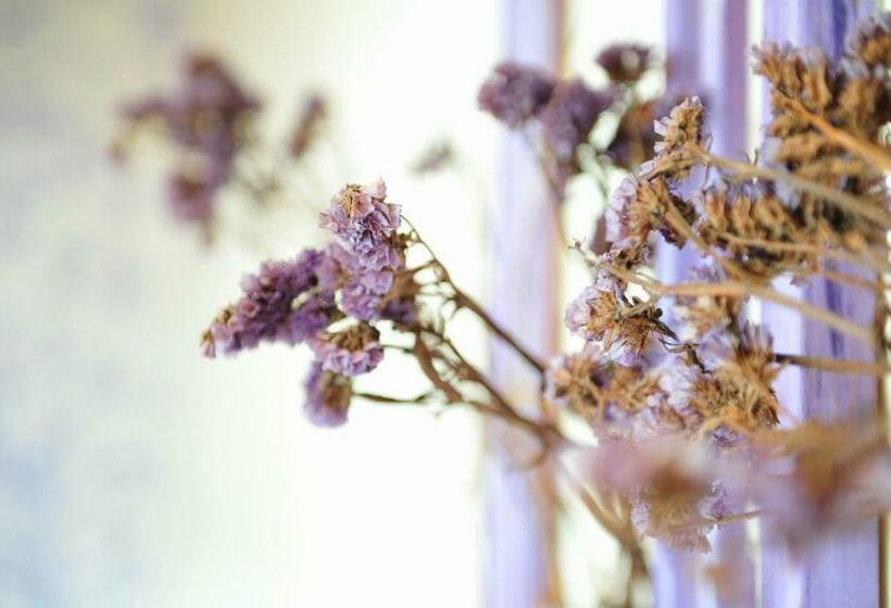 اتاق استاندارد چهار تخته, Kenting Bonjour Resort