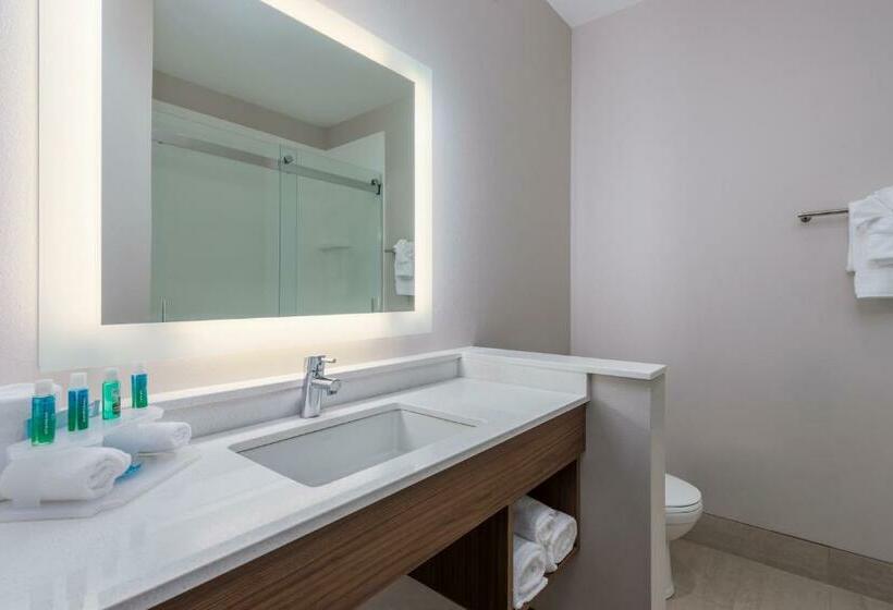 身障者適用スタンダードルーム, Holiday Inn Express Troy, An Ihg