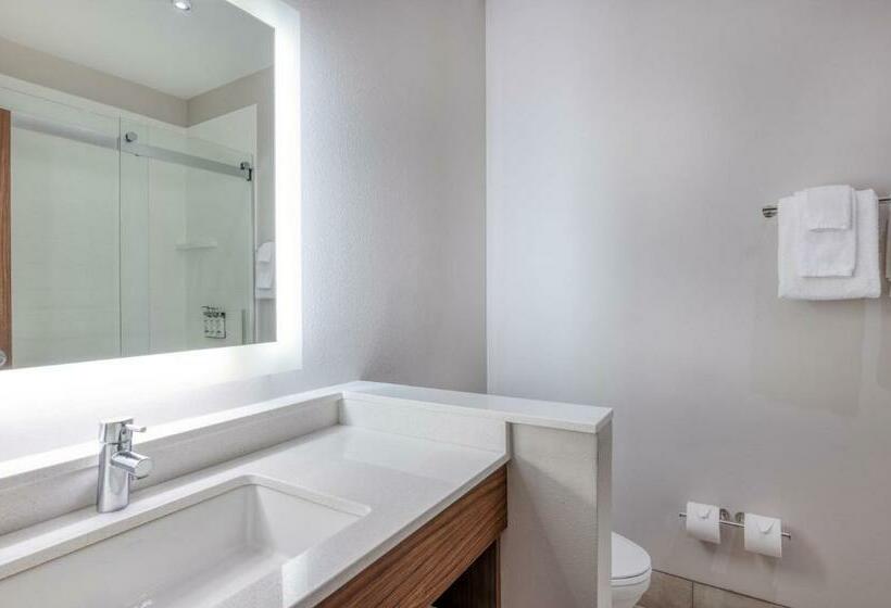 スタンダードルーム, Holiday Inn Express Troy, An Ihg