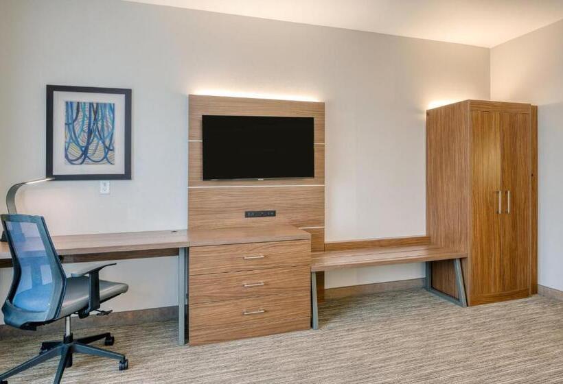 身障者適用スタンダードルーム, Holiday Inn Express Troy, An Ihg