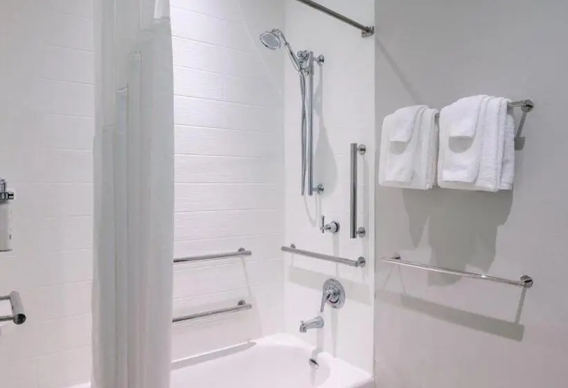 身障者適用スイートルーム, Holiday Inn Express Troy, An Ihg