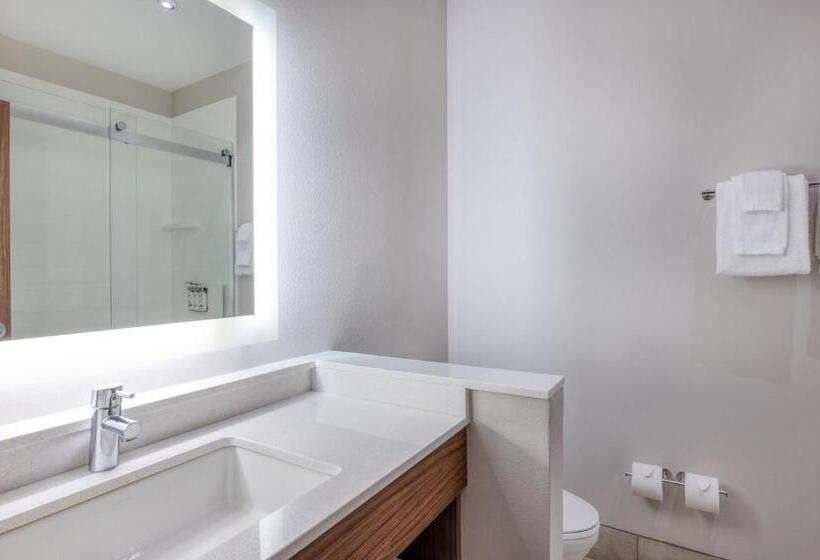 Люкс Адаптированный для Инвалидов, Holiday Inn Express Troy, An Ihg