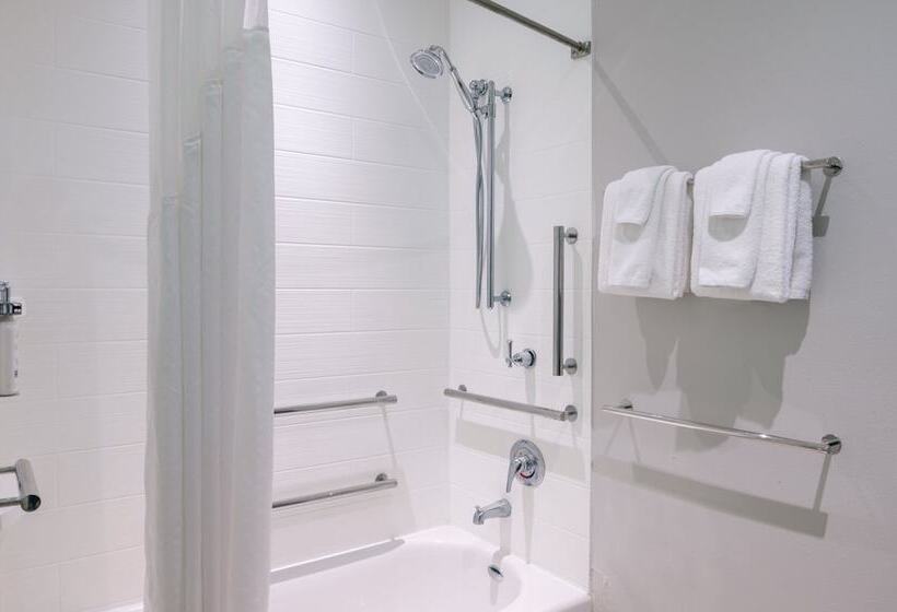 身障者適用スイートルーム, Holiday Inn Express Troy, An Ihg