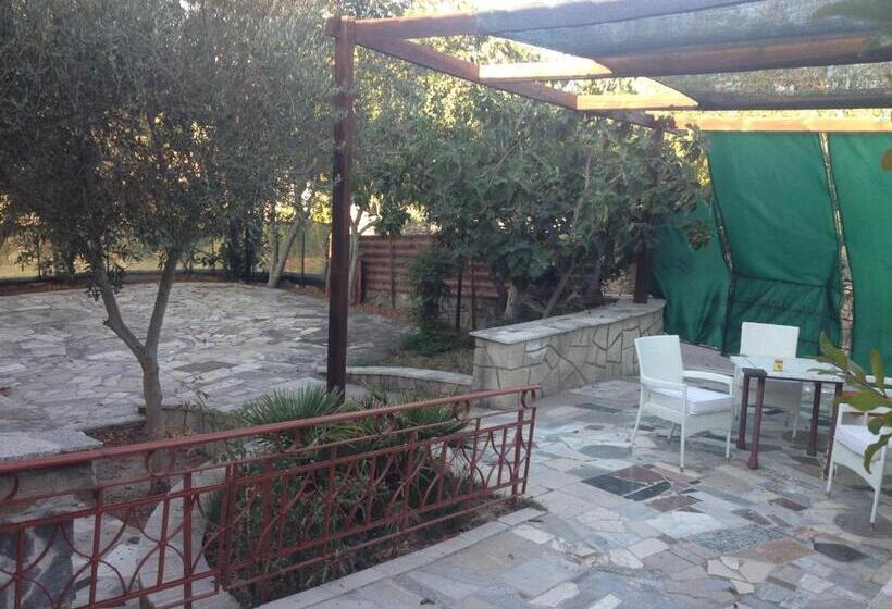 四人标准间, Residence Palomba