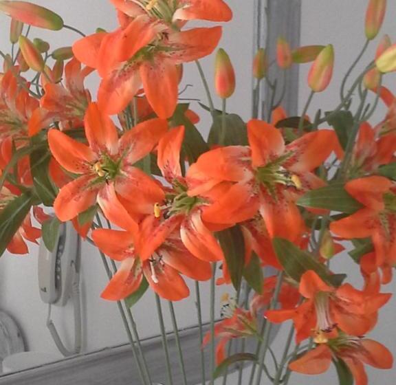 1 Schlafzimmer Apartment mit Blick, Lotza Studios