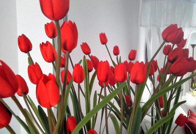 1 Schlafzimmer Apartment, Lotza Studios