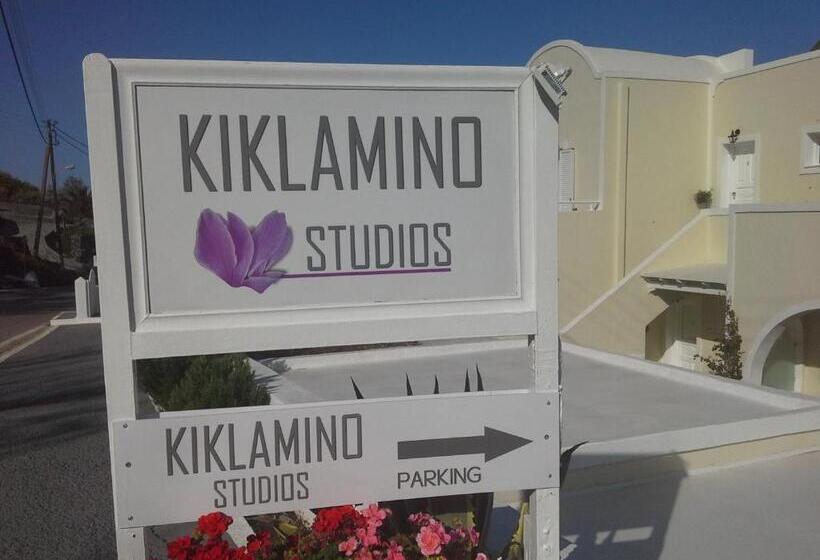 1 Schlafzimmer Apartment, Lotza Studios