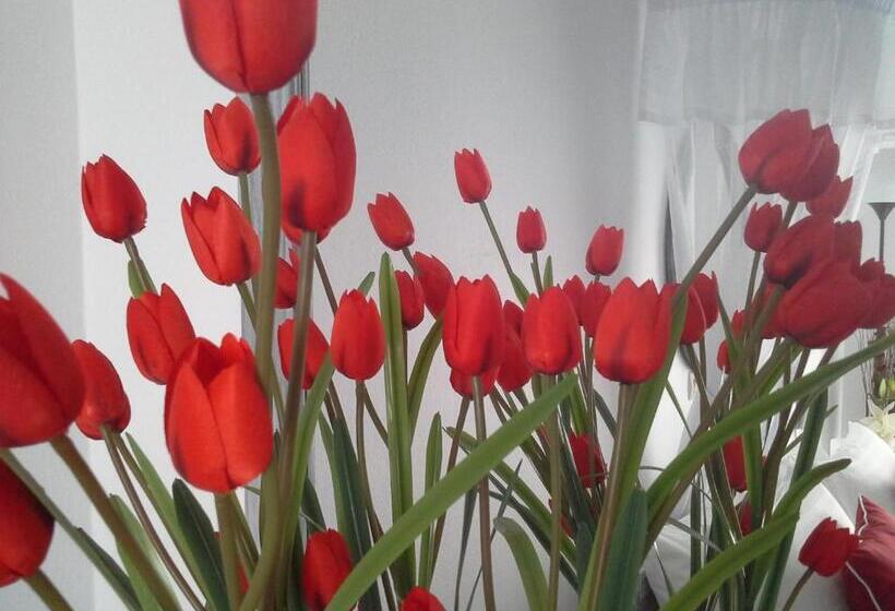 1 Schlafzimmer Apartment mit Blick, Lotza Studios