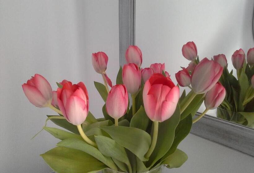 1 Schlafzimmer Apartment, Lotza Studios