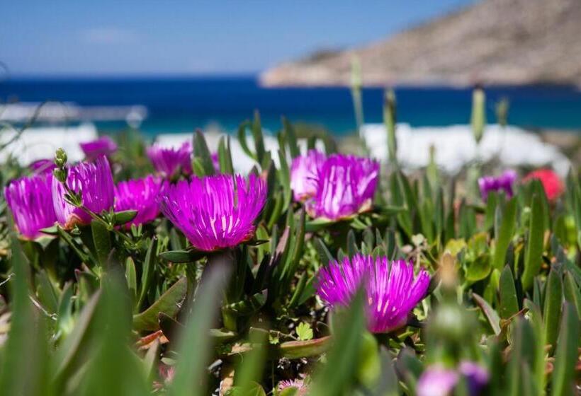 غرفة سوبيريور, Xerolithia