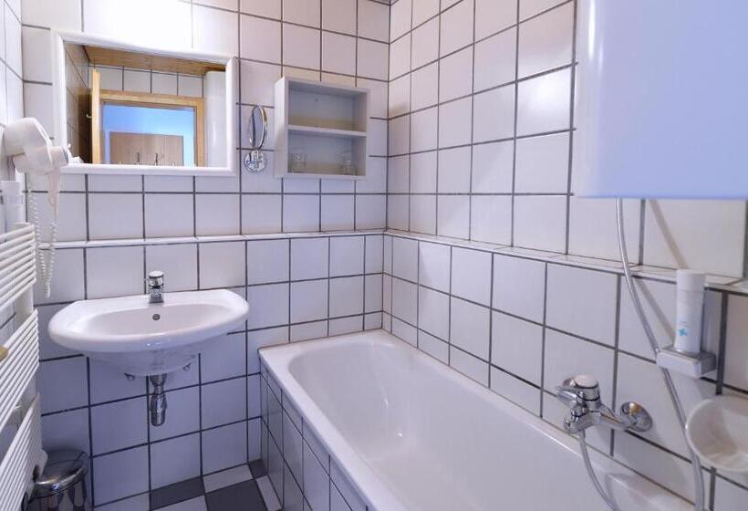 大型套房, Almhotel Kärnten