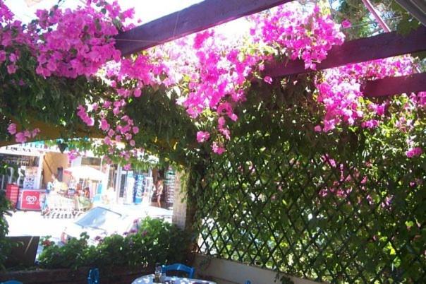 غرفة قياسية, Hostel Stylianos Kissamos