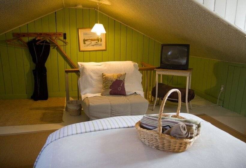 اتاق استاندارد با سرویس بهداشتی مشترک, Au Croissant De Lune