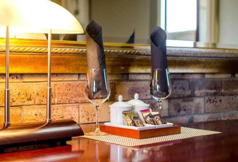 חדר דחוקס עם מיטת קינג, Centre Point Midcity Motor Inn