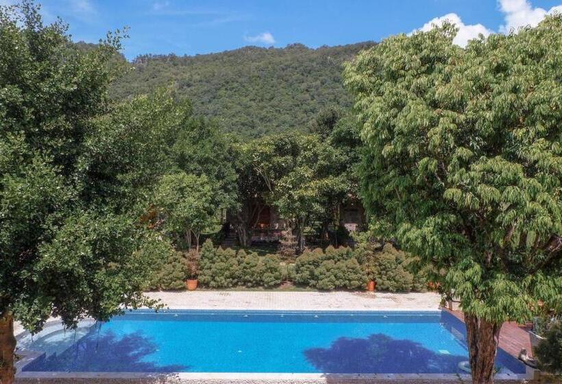 Quarto Estandar Cama King, Phachuanchom Resort Khaoyai