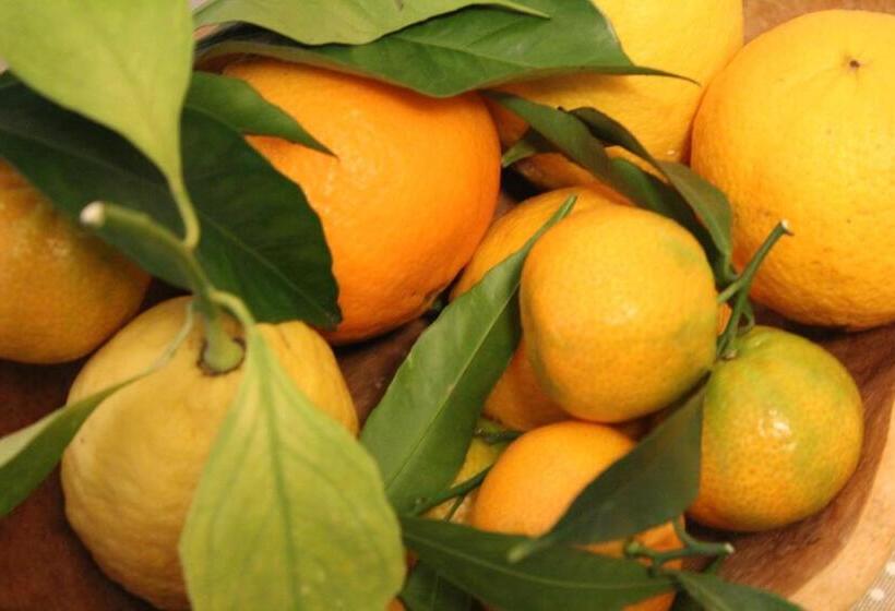 خانه 2 خوابه, Villa Apollo B&b