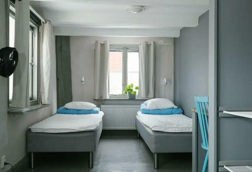 Standard-huone Jaettu Kylpyhuone, Visby Logi & Vandrarhem
