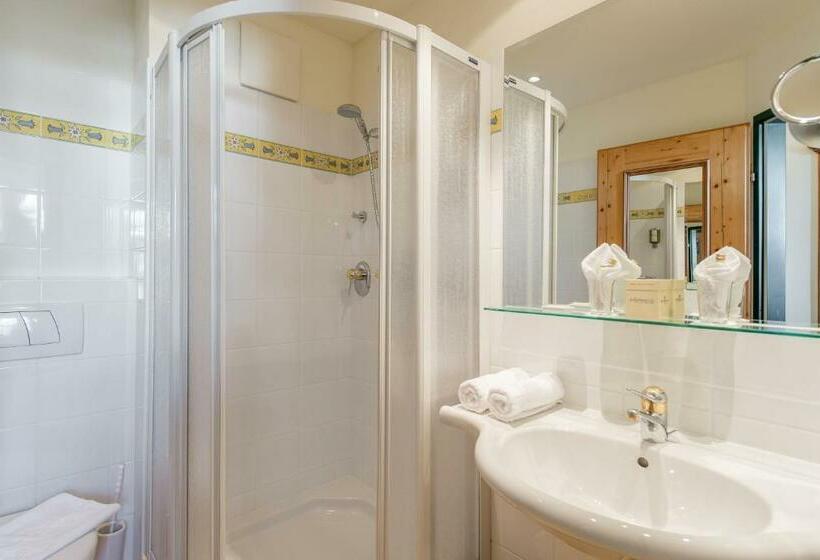 חדר סטנדרט, Superior Hotel Edelweiss