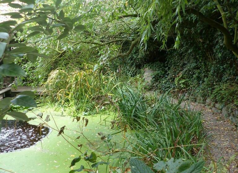 Стандартный Номер Кровать Кинг, B&b Aquavert