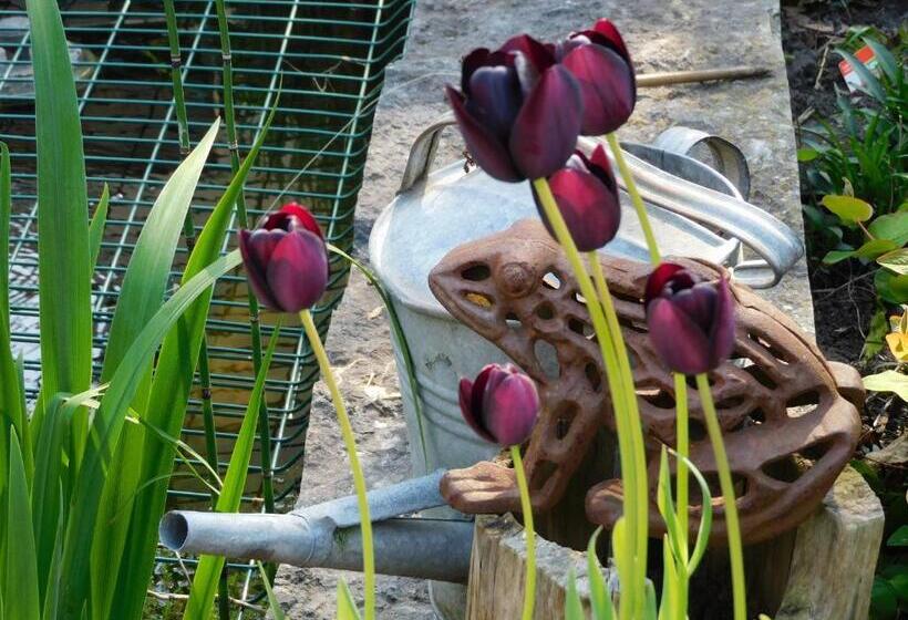 سوییت خانوادگی, B&b Villa D'hondt