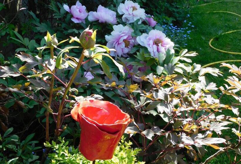 سوییت خانوادگی, B&b Villa D'hondt