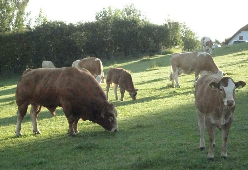 غرفة قياسية, Ferienhof Stanzl