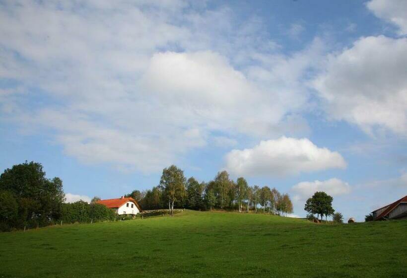 غرفة قياسية, Ferienhof Stanzl