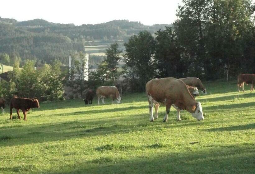 غرفة قياسية, Ferienhof Stanzl