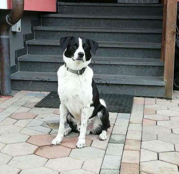 스탠다드 룸, Haus Höll Herta