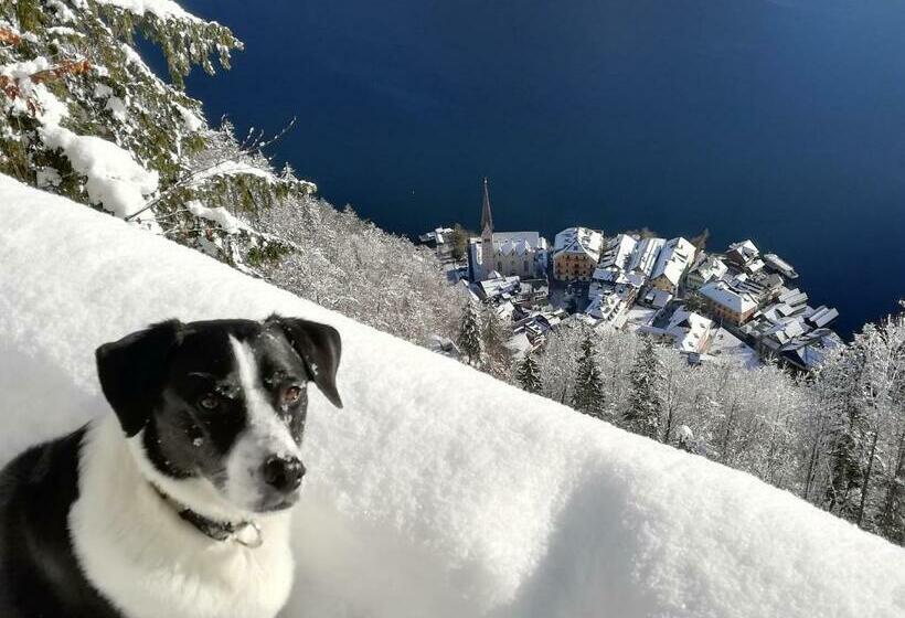 스탠다드 룸, Haus Höll Herta