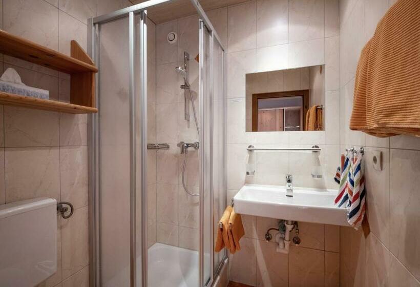 آپارتمان 3 خوابه, Landhaus Elfi