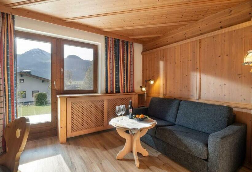 آپارتمان 1 خوابه, Landhaus Elfi