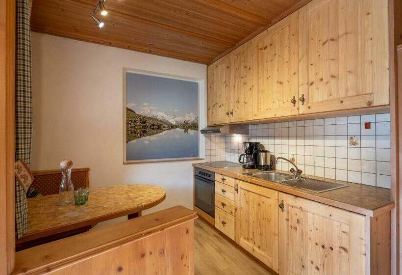 آپارتمان 1 خوابه, Landhaus Elfi