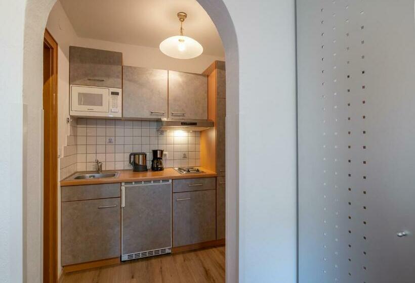 آپارتمان 1 خوابه, Landhaus Elfi