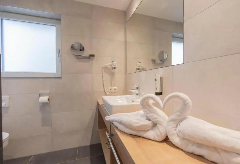 スーペリアールーム, Berghotel Rasis