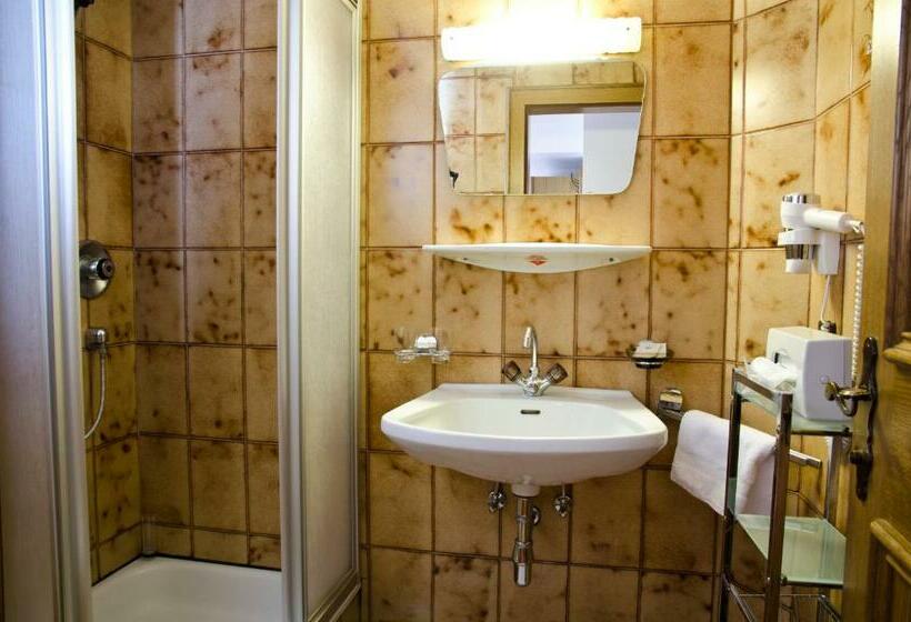 스탠다드 싱글 룸, Berghotel Rasis