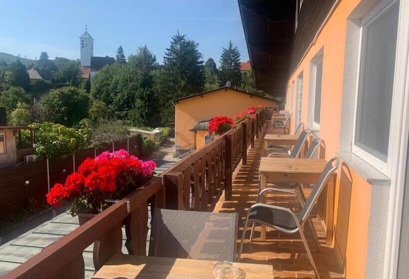 Номер Стандарт с Балконом, Austria